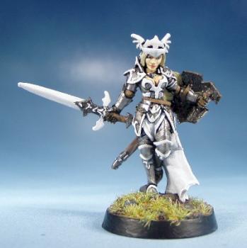 Paladin (Repost) by Zanibar