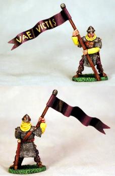 Captain's Guard Standard Bearer by venetta812