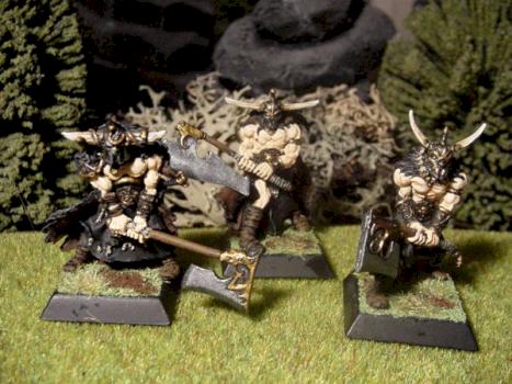 Persecuteurs Drunes by Witchking Malekith
