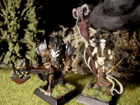 Guerrire Danu et Fianna by Witchking Malekith