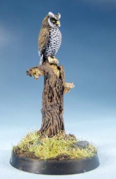 Owl by Zanibar