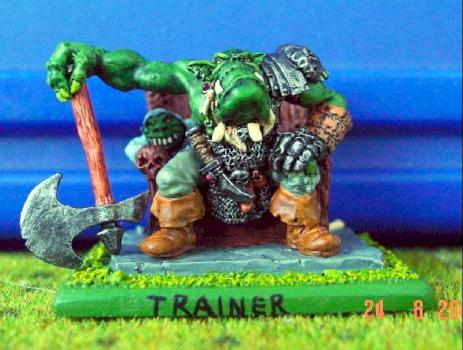 Trainer for an Ork Blood Bowl Team by anges
