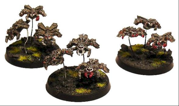 Scarabs1 by milkman
