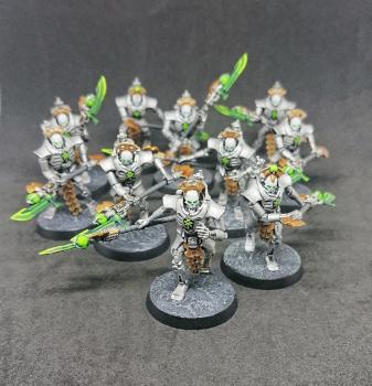 Necrons Lychguard by ekumania