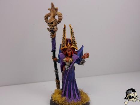 Dark Elf Sorceress by MaaX