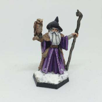 Frostgrave wizard (Reaper's Amathor, Arch Mage) by Byteknight
