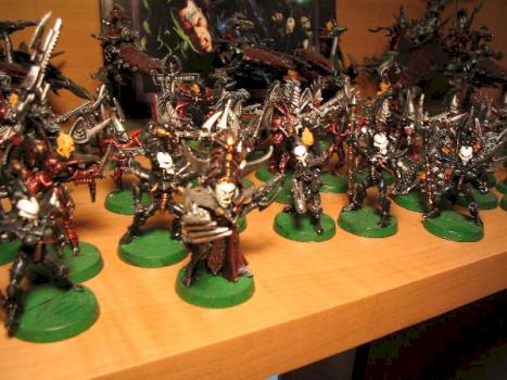Lord and Incubi Retinue by wc45