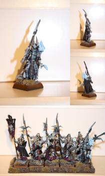 Dark Elv Black Guard with Honored Champ by Grimgorkwaaagh