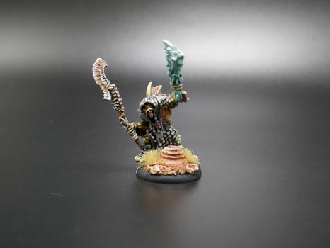 Hordes Painted Minions Solo Bog Trog Mist Speaker by w013ejb