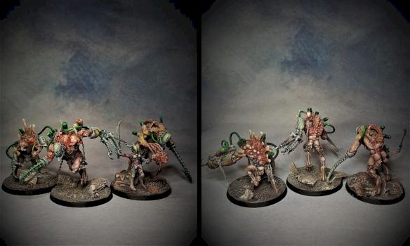 Dark Eldar Grotesques by awalker
