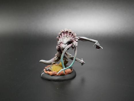 Hordes Painted Minions Solo Thrullg A by w013ejb