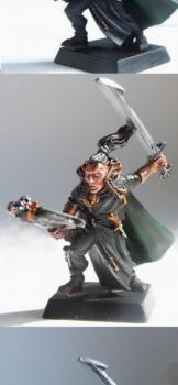 Dark elf Shade (better pictures) by Stix
