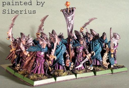 Dark Elves Corsairs by Siberius