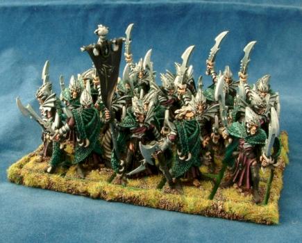 Dark Elf Corsairs Regiment by Dogstarminis