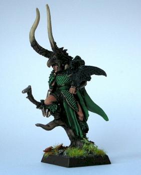 wood elf lord by theblacklord