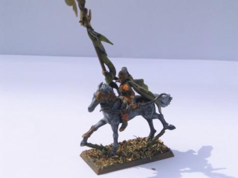 porte étendard elfe sylvain by Kassnain