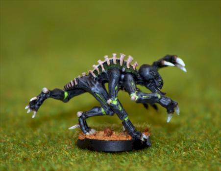 Galloping genestealer (Hivefleet Snutte) by Minnra