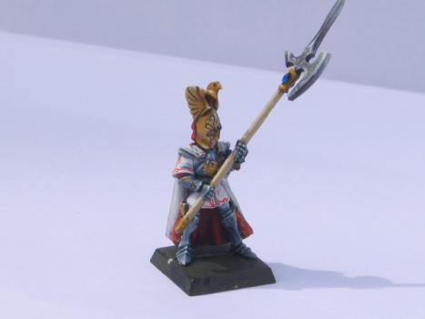 garde phénix haut elfe by Kassnain