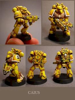 Imperial fist space marines by Caius