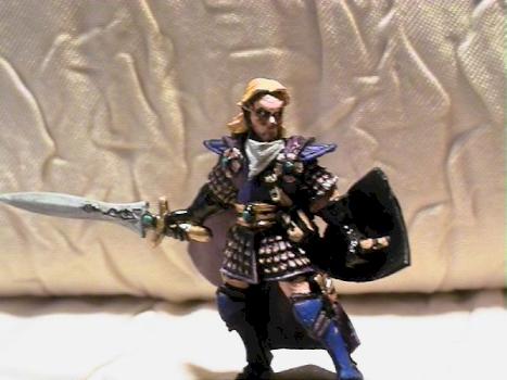 Limited Edition High Elf / Dark Elf by warmaster1908