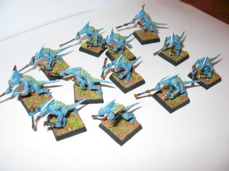 skinks by Meuh
