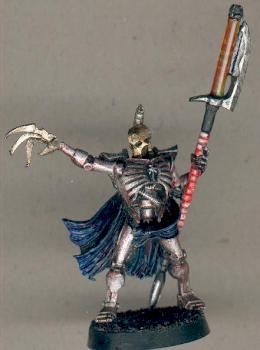 necron lord by colony