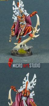Eldar Bonesinger by MiG