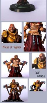 Priest of Sigmar by oschi