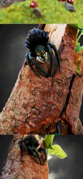 Spider lurking in the Goblin by Mattas