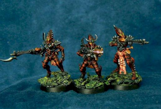 Dark Eldar Kabalite Warriors by trickster