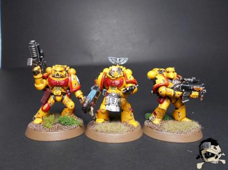 Imperial Fists Space Marines by MaaX