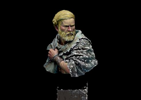 Germanic Warrior by jarhead