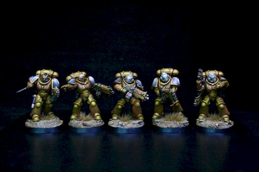 Primaris Imperial Fists Veteran Squad by goblet