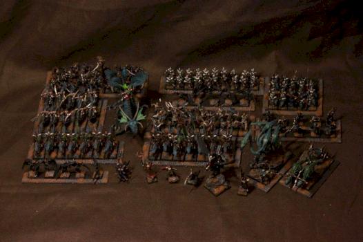 Dark Elves Army by Czopsquad