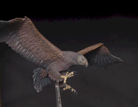 Great Eagle by Luki8998