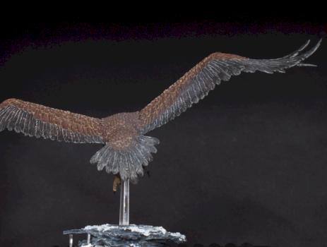Great Eagle #3 by Luki8998