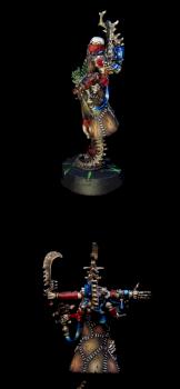 Dark Eldar Haemonculus by SavageDPainting
