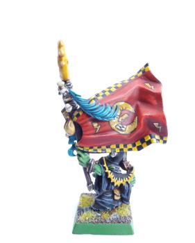 Night Goblin Battle Standard Bearer Reverse by Aurigus