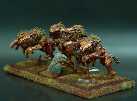 Vampire counts dire wolf by niqueyes