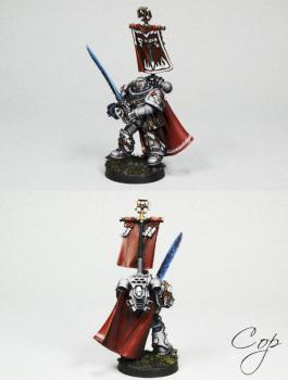 Castellan Crowe Grey Knight by Cross
