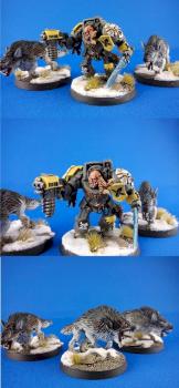 Dances with Wolves by Curaitis