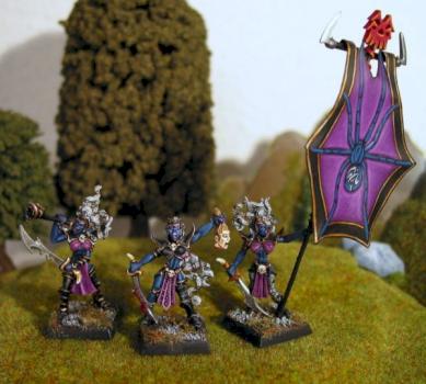 Dunkelelfen Hexenkriegerinnen by Kharnon