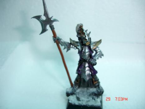 Dark Elf by angora