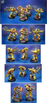 IMPERIAL FISTS-STERNGUARD VETERANS by midgardmodels