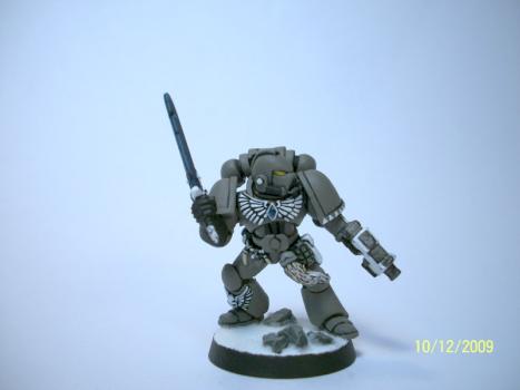 Grey Hunter by GriffinArt