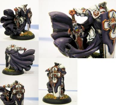 Paladin Order of the Wall by tolpuddle