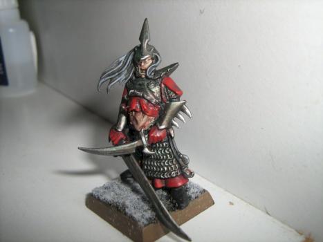 Dark Elf zombie. by hexter