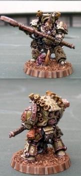 Typhus by twist