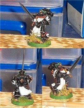 Emperor's Champion by Alarik