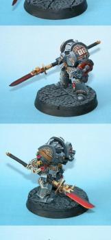 Chevalier Gris by vincent